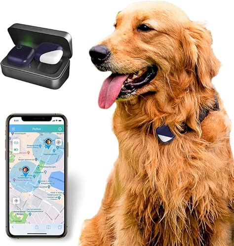 rfid pet tracking system|cell phone tracking for pets.